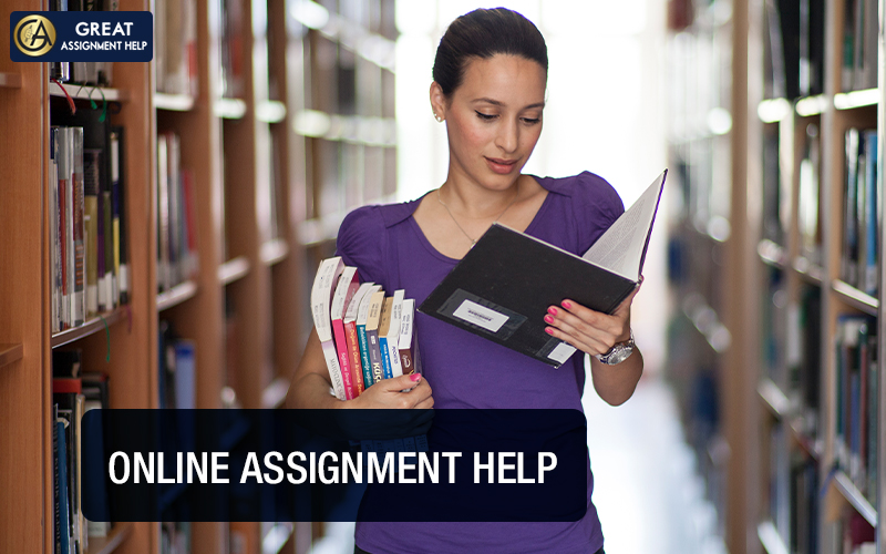 Assignment Help